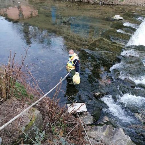 Big Jump, a Malnate un tuffo nell'Olona per chiedere fiumi balneabili
