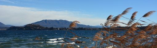 Bertoni: «Forte vento da domani sera. Più freddo settimana prossima»