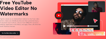 Editor video online per video e consigli sul giardinaggio su YouTube