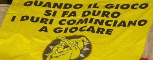 I nostri Mastini sono questi I nostri Mastini sono questi