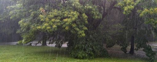 (Foto Paolo Valisa - CGP - Chalet di villa Baragiola)