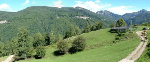 Panoramica della Val Veddasca (Archivio Comunità Montana Valli del Verbano)