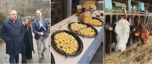 Agricoltura, la prima volta nel Varesotto dell’assessore regionale Beduschi: «Qui eccellenze da salvaguardare» Agricoltura, la prima volta nel Varesotto dell’assessore regionale Beduschi: «Qui eccellenze da salvaguardare»