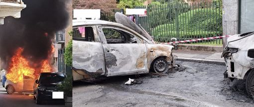 foto per cortesia di Paolo Umberto Ferrario