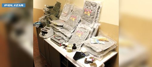 VIDEO. Cadrezzate con Osmate, scoperto dalla polizia un capannone "serra" di marijuana. Un arresto e due denunce per spaccio