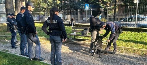 Controlli in zona stazione a Gallarate: il cane poliziotto Zorro fiuta l'hashish Controlli in zona stazione a Gallarate: il cane poliziotto Zorro fiuta l'hashish