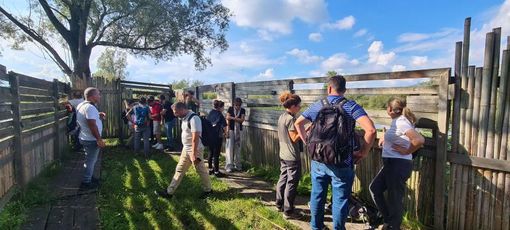 Palude Brabbia e lago di Varese: una visita speciale dal Libano