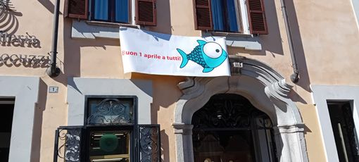 Vetrine svuotate alla gioielleria Ceccuzzi di Busto, per un po' ci credono in tanti