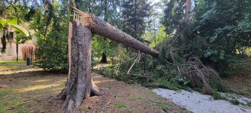 Alberi caduti per il maltempo, il parco di Villa Recalcati chiuso fino a data da destinarsi