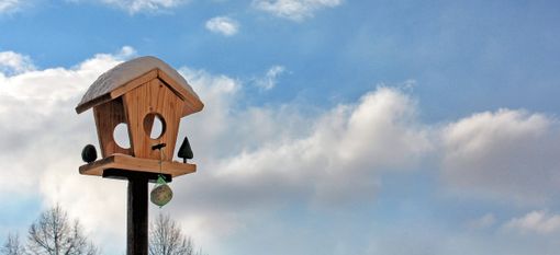 Domani qualche goccia, poi dominio di sole e vento: quando arriverà l'inverno?