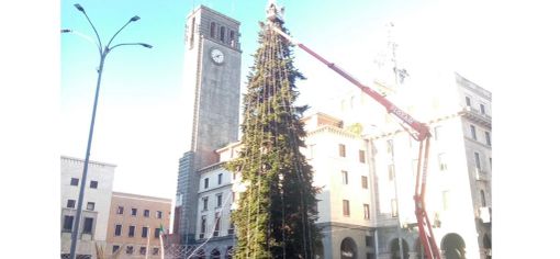 VIDEO E FOTO. Luci sull'albero di piazza Monte Grappa: a Varese il Natale sta arrivando
