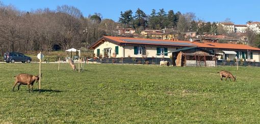 FOTO - Ai confini del mondo… sotto viale Europa. La Varese che non ti aspetti alla Gaggina