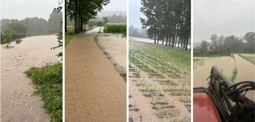 Ecco la situazione di stamattina nei campi seminati di Capolago Ecco la situazione di stamattina nei campi seminati di Capolago