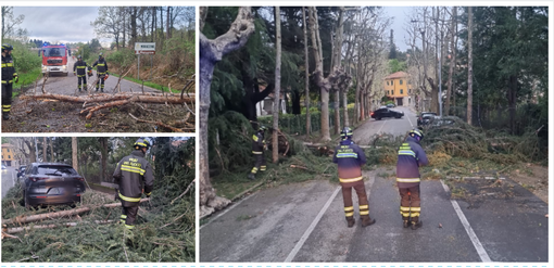 I danni del maltempo delle ultime ore sul Varesotto I danni del maltempo delle ultime ore sul Varesotto