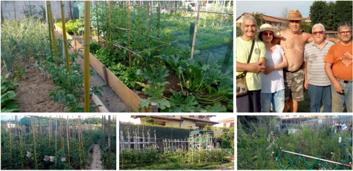 Gli orti urbani di via Santa Maria Maddalena a Bizzozero: quelli coltivati grazie al duro lavoro e alla passione di un gruppo di persone che sono diventati anche amici sono uno spettacolo, gli altri non assegnati o abbandonati con erba alta un po' meno...