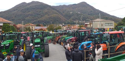 Gli agricoltori della Valcuvia celebrano la Festa del Ringraziamento Gli agricoltori della Valcuvia celebrano la Festa del Ringraziamento