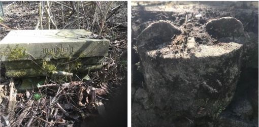 Dai boschi della Rasa spunta un’antica tomba (FOTO E VIDEO) Dai boschi della Rasa spunta un’antica tomba (FOTO E VIDEO)