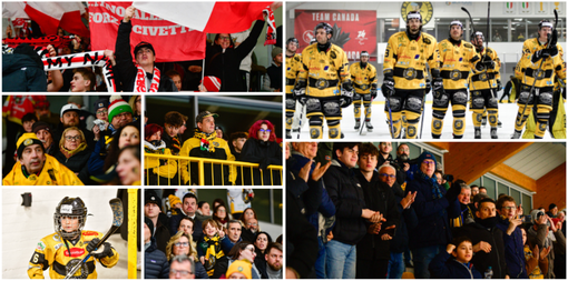 In 1.100 per Varese-Alleghe, compresi i calorosissimi tifosi delle Civette. Ed è solo l'antipasto dei playoff (foto Alberto Bernasconi)