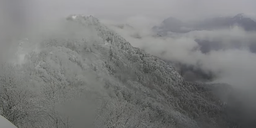 I boschi del Campo dei Fiori imbiancanti questa mattina (foto dalla webcam del Centro Geofisico Prealpino)