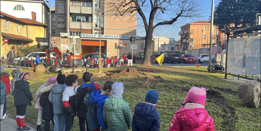 Festa dell'Albero, le iniziative del Comune di Varese