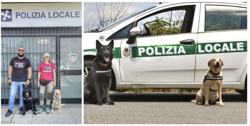 Un seminario per operatori delle forze dell'ordine: unione tra uomini e cani nella lotta al crimine