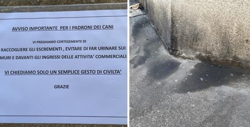 LA LETTERA «Costretta a zigzagare sui marciapiedi di via Cavour per evitare l’enorme quantità di deiezioni canine» LA LETTERA «Costretta a zigzagare sui marciapiedi di via Cavour per evitare l’enorme quantità di deiezioni canine»