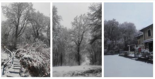 Le foto del Campo dei Fiori innevato grazie al nostro inviato Olgher