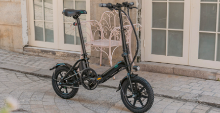Bici Elettrica con acceleratore Bici Elettrica con acceleratore