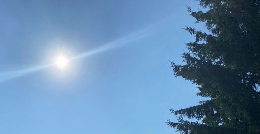 Trenta gradi con umidità in grande crescita. Prima ondata di afa che ci farà boccheggiare Trenta gradi con umidità in grande crescita. Prima ondata di afa che ci farà boccheggiare