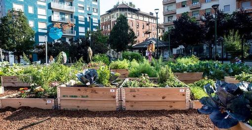 Dalla Regione Lombardia contributi per orti a scuola e in città