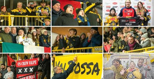 Solo i Mastini hanno questi tifosi (foto Alessandro Umberto Galbiati)