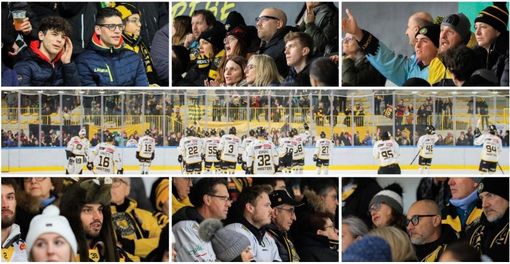 Culla di passione: i volti dei 900 cuori gialloneri presenti all'Acinque Ice Arena per Varese-Caldaro (foto Emanuele Scordo) Culla di passione: i volti dei 900 cuori gialloneri presenti all'Acinque Ice Arena per Varese-Caldaro (foto Emanuele Scordo)