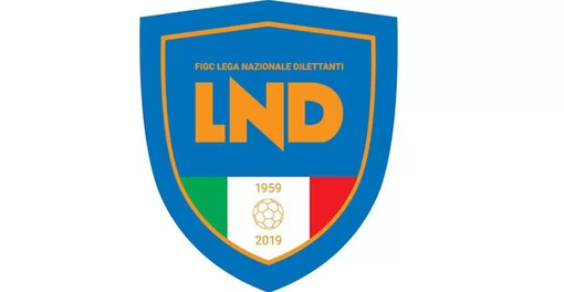 Il Città di Varese ha fatto domanda di ammissione in D per le squadre non aventi diritto