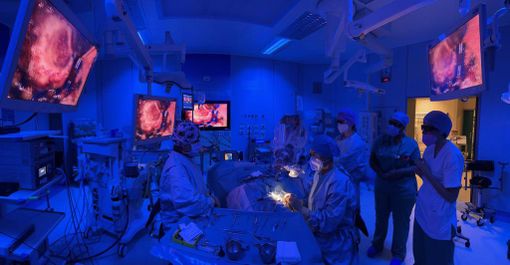 25 febbraio, Giornata internazionale dell'impianto cocleare 25 febbraio, Giornata internazionale dell'impianto cocleare