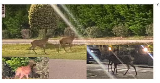 La foto di Damiano Gioia