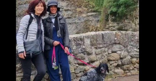 Ritrovati i corpi delle due donne cadute in acqua per salvare il cane che era con loro Ritrovati i corpi delle due donne cadute in acqua per salvare il cane che era con loro