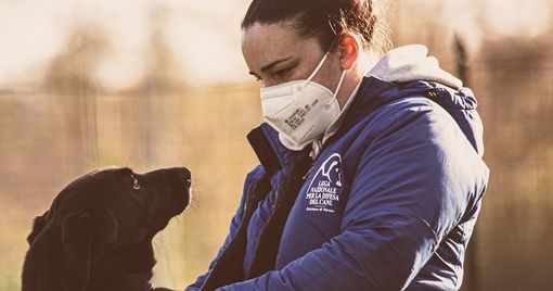 L'appello del canile: «Troppi cani con problematiche comportamentali, aiutateci ad adeguare la struttura» L'appello del canile: «Troppi cani con problematiche comportamentali, aiutateci ad adeguare la struttura»
