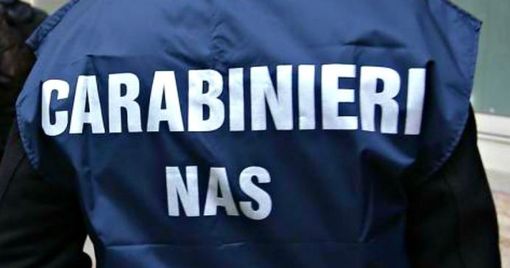 Gravi carenze igieniche: attività commerciale di Varese chiusa dopo un controllo dei carabinieri