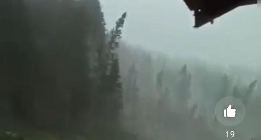L'ESTATE DEI DOWNBURST - VIDEO. In Cadore a Alto Adige la furia del vento piega e spezza gli alberi come grissini