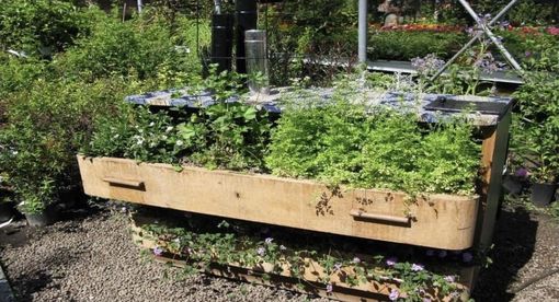 A Cittiglio arriva il "Bello del Riciclo": una domenica di ecofesta al Vivaio Spertini