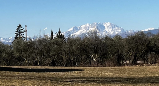 Diciassette gradi alle nove e mezza del mattino. E lo chiamano inverno Diciassette gradi alle nove e mezza del mattino. E lo chiamano inverno