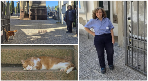 Lucia, storica custode del cimitero monumentale di Giubiano, va in pensione. Ma quello con il "vice-custode" Diesel non è un addio Lucia, storica custode del cimitero monumentale di Giubiano, va in pensione. Ma quello con il "vice-custode" Diesel non è un addio