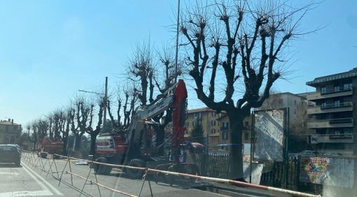 Largo Flaiano, ecco le ruspe: circolazione a una corsia in entrambe le direzioni Largo Flaiano, ecco le ruspe: circolazione a una corsia in entrambe le direzioni