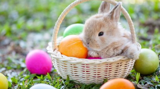 A SPASSO NEL WEEKEND. Uova, street food e caccia al tesoro. Ecco cosa fare nel fine settimana di Pasqua