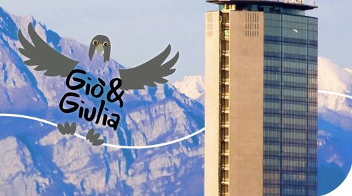 Scelti i nomi per i falchetti di Milano: Fiocco, Olimpia e Bob (che però non ce l'ha fatta)