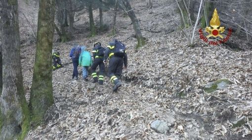 Uomo e bambino dispersi nei boschi del Verbano salvati dai vigili del fuoco Uomo e bambino dispersi nei boschi del Verbano salvati dai vigili del fuoco
