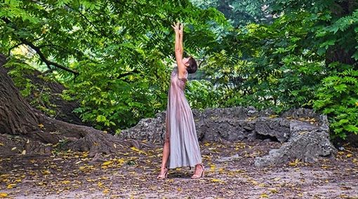 (foto dalla pagina Facebook di Nature Urbane)