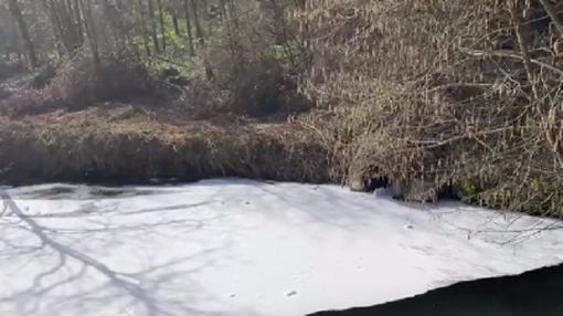 (foto di archivio) (foto di archivio)