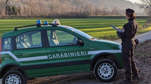 (foto generica d'archivio) (foto generica d'archivio)