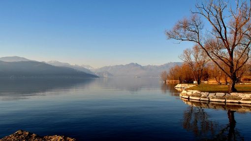 Un concerto all'alba sul lago alla Bozza di Besozzo per risvegliare il corpo e la mente Un concerto all'alba sul lago alla Bozza di Besozzo per risvegliare il corpo e la mente